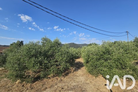 Продажа земельного участка в Альфория, Таррагона, Испания 66862м2 №187596 - фото 17