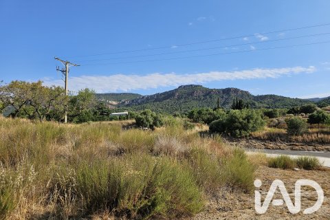Продажа земельного участка в Альфория, Таррагона, Испания 66862м2 №187596 - фото 3