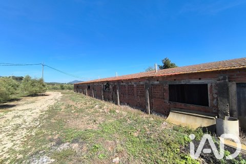 Продажа земельного участка в Альфория, Таррагона, Испания 66862м2 №187596 - фото 7