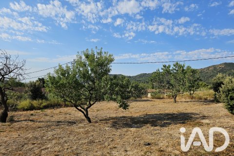Продажа земельного участка в Альфория, Таррагона, Испания 66862м2 №187596 - фото 4