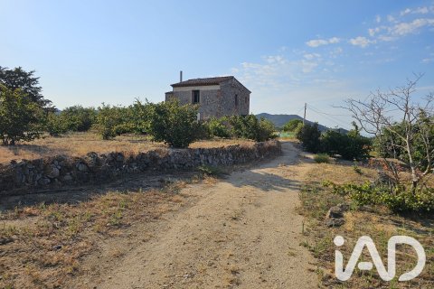 Продажа земельного участка в Альфория, Таррагона, Испания 66862м2 №187596 - фото 18