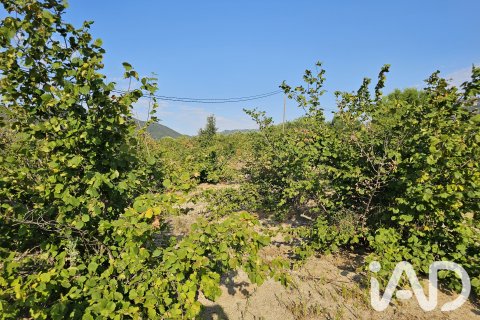 Продажа земельного участка в Альфория, Таррагона, Испания 66862м2 №187596 - фото 23