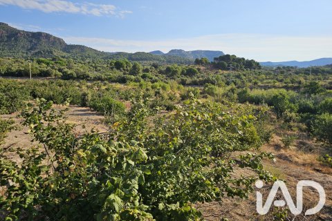 Продажа земельного участка в Альфория, Таррагона, Испания 66862м2 №187596 - фото 29