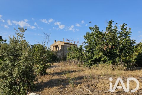 Продажа земельного участка в Альфория, Таррагона, Испания 66862м2 №187596 - фото 24