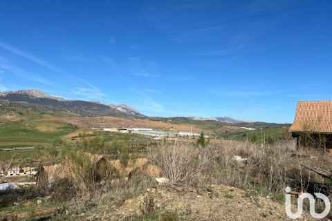 Продажа земельного участка в Касабермеха, Малага, Испания 1600м2 №186148 - фото 4