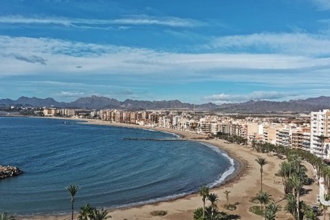 Penthouse w Aguilas, Murcia, Hiszpania 2 sypialnie, 100 mkw. nr 186152