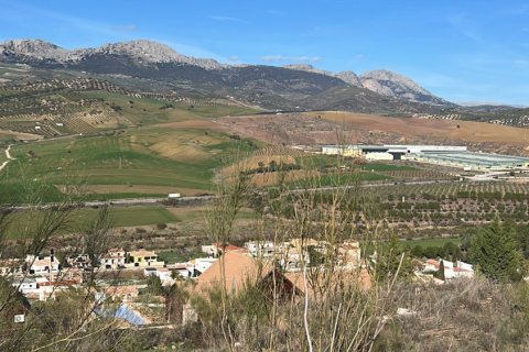 Parcela en venta en Casabermeja, Málaga, España 800 m2 No. 186149 - foto 6