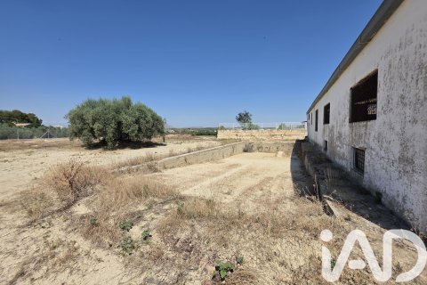 Parcela en venta en Cehegín, Murcia, España 3200 m2 No. 188378 - foto 15