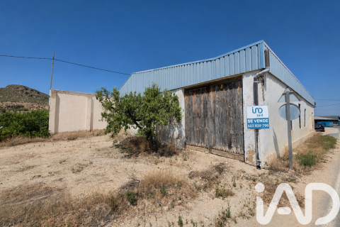 Parcela en Cehegín, Murcia, España 3200 m2 No. 188378