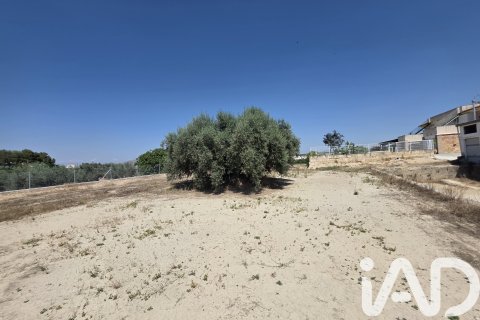 Parcela en venta en Cehegín, Murcia, España 3200 m2 No. 188378 - foto 16