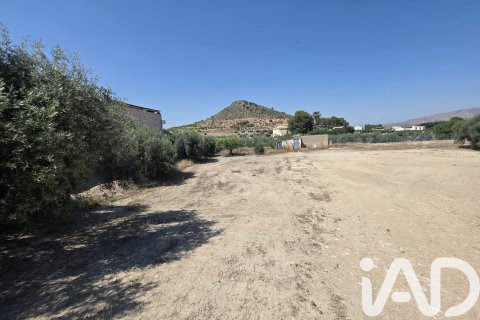 Parcela en venta en Cehegín, Murcia, España 3200 m2 No. 188378 - foto 6
