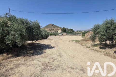 Parcela en venta en Cehegín, Murcia, España 3200 m2 No. 188378 - foto 5