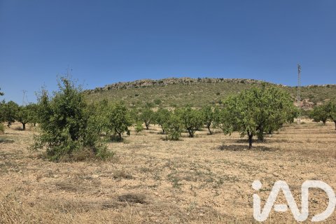 Parcela en venta en Cehegín, Murcia, España 200000 m2 No. 188379 - foto 8