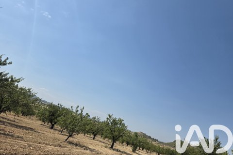 Parcela en venta en Cehegín, Murcia, España 200000 m2 No. 188379 - foto 10