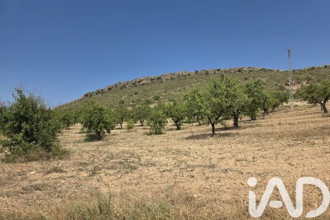 Parcela en venta en Cehegín, Murcia, España 200000 m2 No. 188379 - foto 7