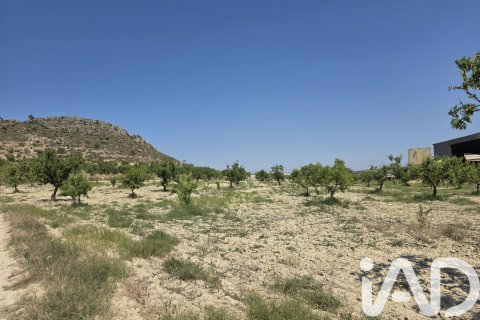 Parcela en venta en Cehegín, Murcia, España 200000 m2 No. 188379 - foto 3