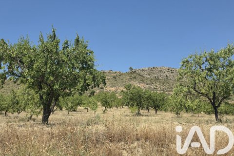 Parcela en venta en Cehegín, Murcia, España 200000 m2 No. 188379 - foto 5