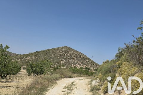 Parcela en venta en Cehegín, Murcia, España 200000 m2 No. 188379 - foto 11