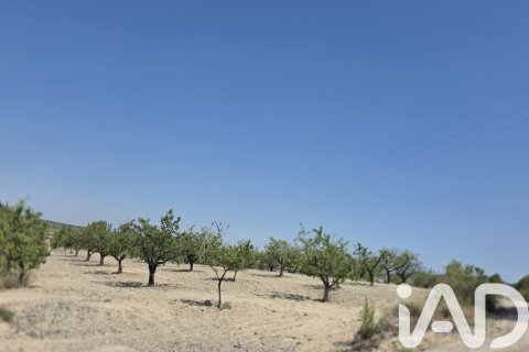 Parcela en venta en Cehegín, Murcia, España 200000 m2 No. 188379 - foto 13