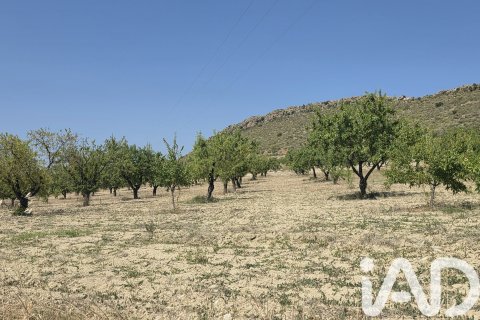 Parcela en venta en Cehegín, Murcia, España 200000 m2 No. 188379 - foto 6