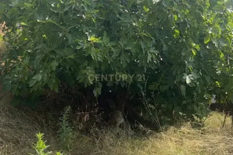 Land plot for sale in Polinya, Barcelona, Spain No. 167090 - photo 5
