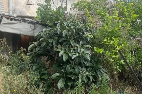 Land plot for sale in Polinya, Barcelona, Spain No. 167090 - photo 21