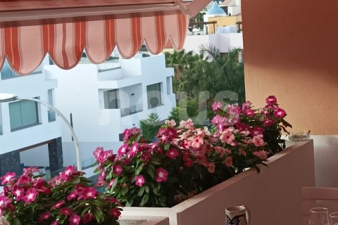 Penthouse à vendre à Los Cristianos, Tenerife, Espagne, 1 chambre,  No. 161337 - photo 2