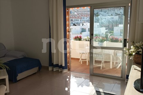 Penthouse à vendre à Los Cristianos, Tenerife, Espagne, 1 chambre,  No. 161337 - photo 7