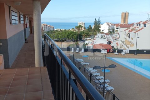 Penthouse à vendre à Los Cristianos, Tenerife, Espagne, 1 chambre,  No. 161337 - photo 26