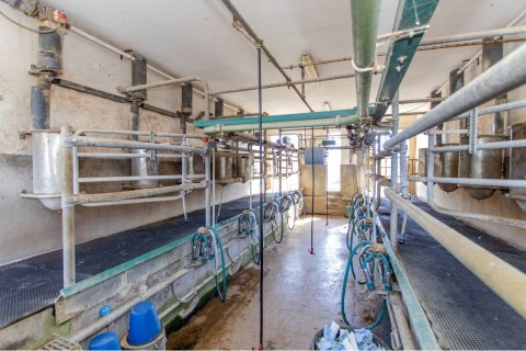 Casa in vendita Ciutadella De Menorca, Menorca, Spagna 3 camere da letto, 629 mq. N° 110989 - foto 12