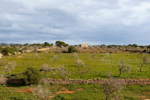 Finka Ses Salines, Mallorca, Hiszpania 4 sypialnie, 467 mkw. nr 37537 – zdjęcie 26