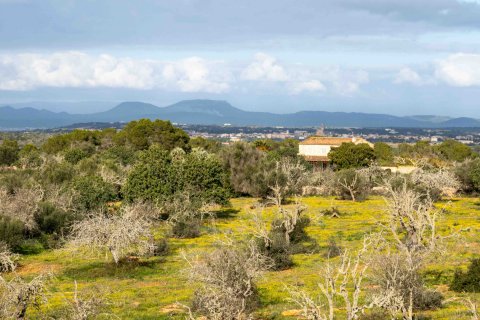 Finka Ses Salines, Mallorca, Hiszpania 4 sypialnie, 467 mkw. nr 37537 – zdjęcie 25
