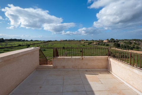 Finka Ses Salines, Mallorca, Hiszpania 4 sypialnie, 467 mkw. nr 37537 – zdjęcie 19