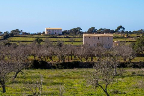 Finka Ses Salines, Mallorca, Hiszpania 4 sypialnie, 467 mkw. nr 37537 – zdjęcie 6