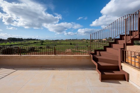 Finka Ses Salines, Mallorca, Hiszpania 4 sypialnie, 467 mkw. nr 37537 – zdjęcie 20