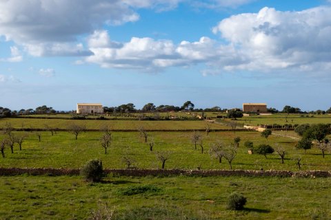 Finka Ses Salines, Mallorca, Hiszpania 4 sypialnie, 467 mkw. nr 37537 – zdjęcie 27