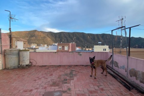 Talo myytävänä Tabernas, Almeria, Espanja, 4 makuuhuonetta, 105 m2 No. 192145 - kuva 29