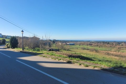 Land plot à vendre à Tapia de Casariego, Asturias, Espagne, 2454 m2 No. 186035 - photo 2