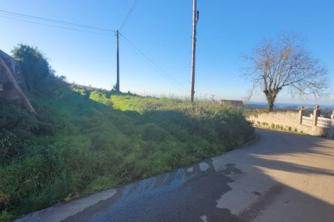 Продажа земельного участка в Тапиа де Касарьего, Астурия, Испания 5171м2 №186034 - фото 8