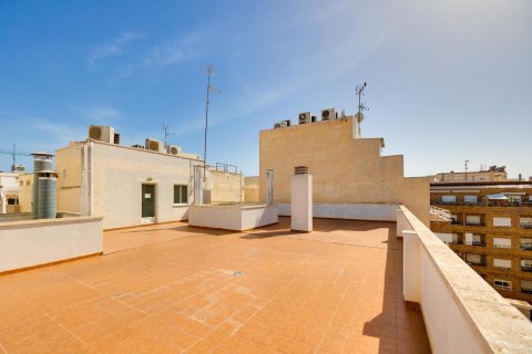 Appartamento in vendita a Torrevieja, Alicante, Spagna 3 camere da letto,  N° 189924 - foto 25