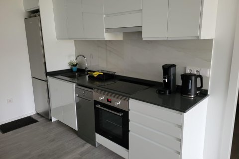 Kattohuoneisto myytävänä Finestrat, Alicante, Espanja , 157 m2 No. 195316 - kuva 8