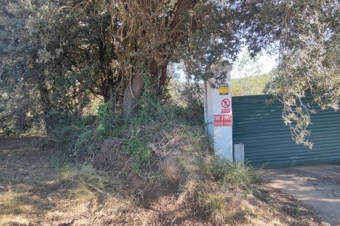 Land plot for sale in Castellet i la Gornal, Barcelona, Spain No. 195307 - photo 6