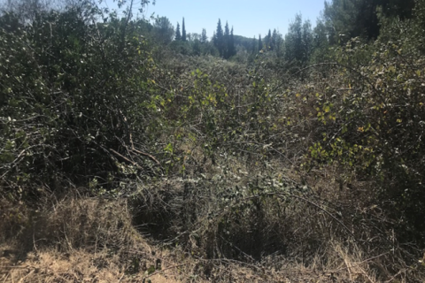 Land plot for sale in Tordera, Barcelona, Spain No. 195308 - photo 6