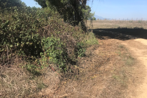 Land plot for sale in Tordera, Barcelona, Spain No. 195308 - photo 5