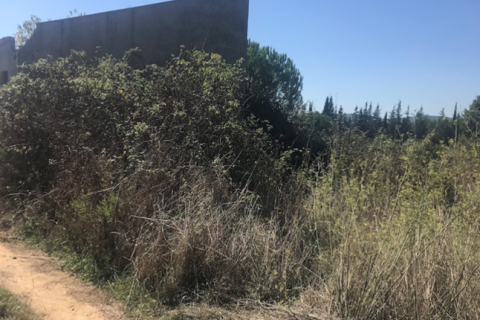 Land plot for sale in Tordera, Barcelona, Spain No. 195308 - photo 3