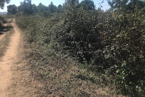 Land plot for sale in Tordera, Barcelona, Spain No. 195308 - photo 4