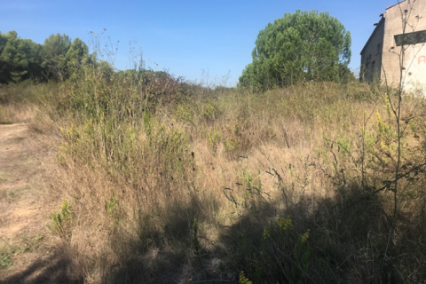 Land plot for sale in Tordera, Barcelona, Spain No. 195308 - photo 2