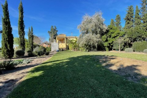 Finka Daya Vieja, Alicante, Hiszpania 4 sypialnie,  nr 80856 – zdjęcie 30