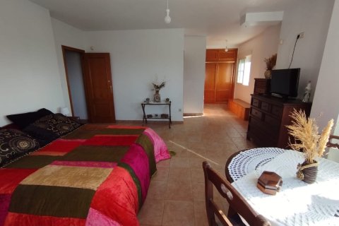 Villa pārdošanā Torrevieja, Alicante, Spānijā 6 istabas, 375 m2 Nr. 139527 - attēls 17