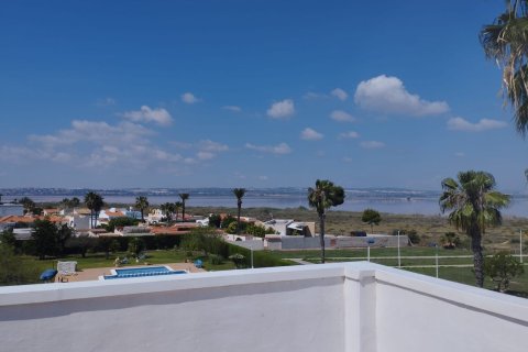 Villa pārdošanā Torrevieja, Alicante, Spānijā 6 istabas, 375 m2 Nr. 139527 - attēls 3